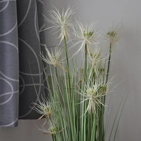 Auszeit Appartement *