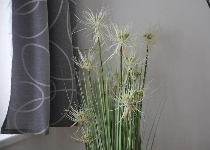 Auszeit Appartement *